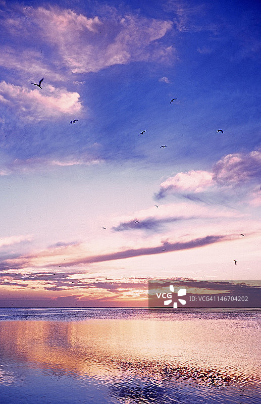 苍鹭岛图片素材