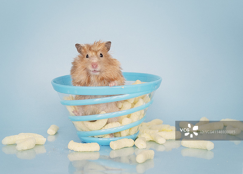 吉祥物图片素材