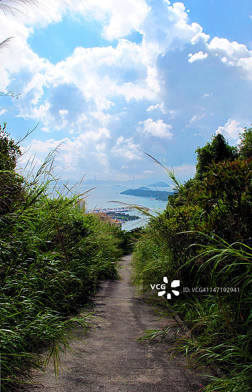 岛屿附近的森林景色图片素材