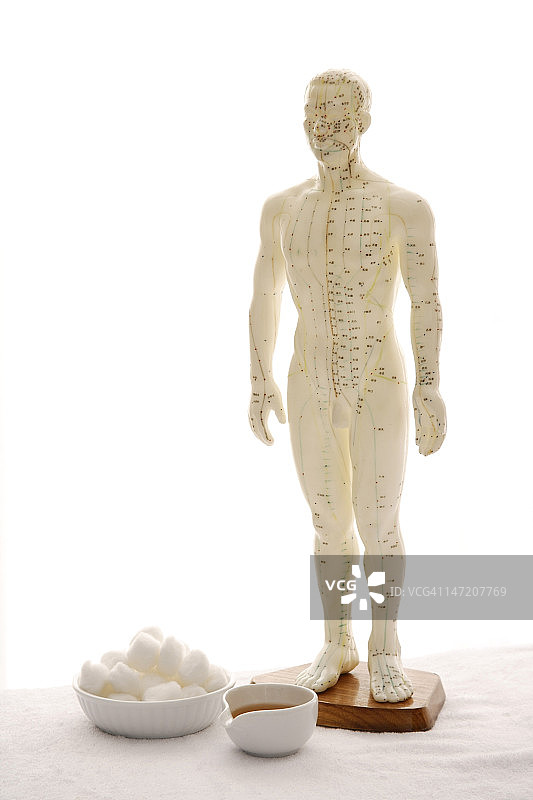 针灸模型和工具图片素材