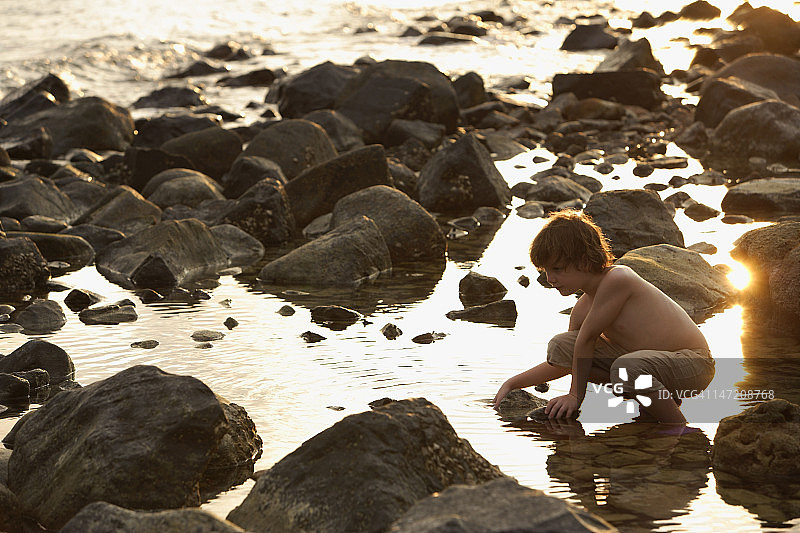 小男孩在潮池里玩耍图片素材