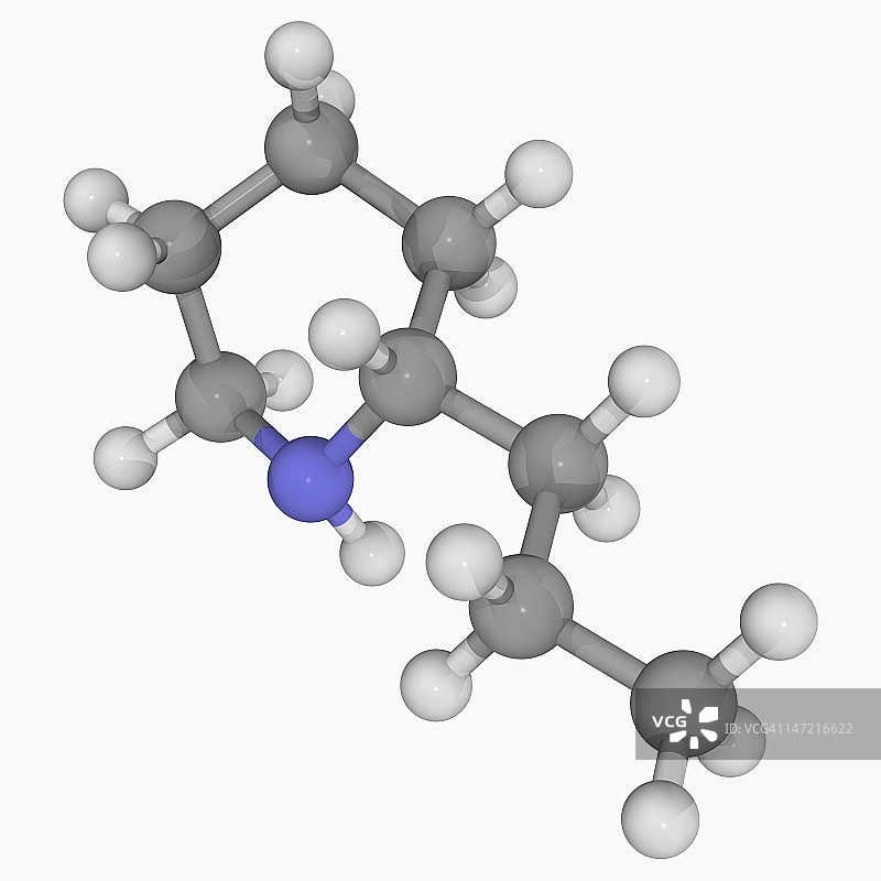 毒芹分子图片素材