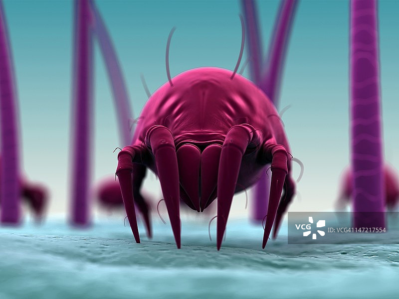 尘螨，艺术作品图片素材