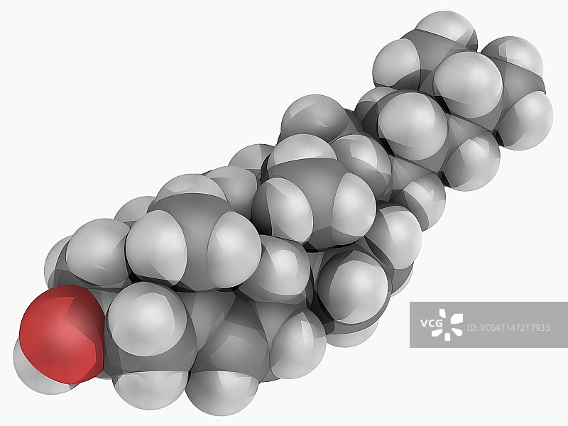 胆固醇分子图片素材