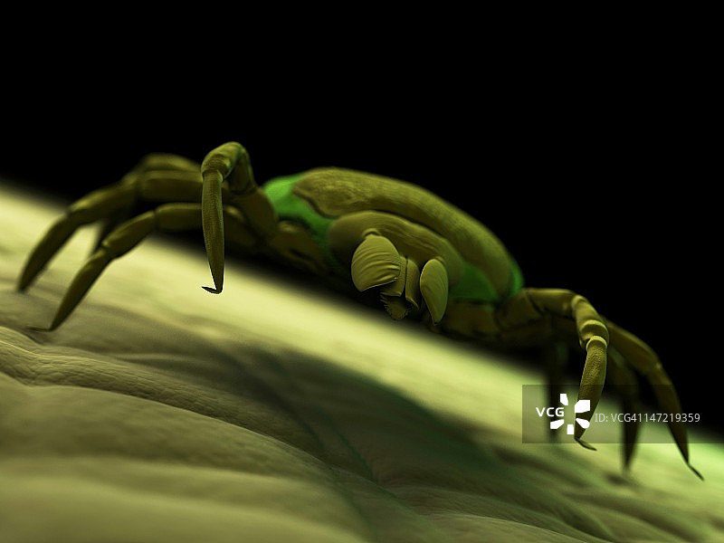 勾号艺术作品图片素材