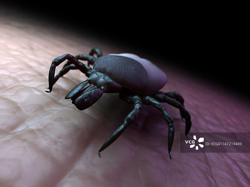 勾号艺术作品图片素材