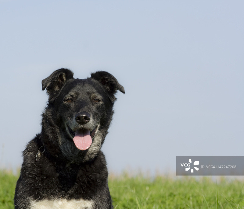 等待与观望图片素材