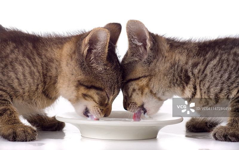 午餐时间图片素材