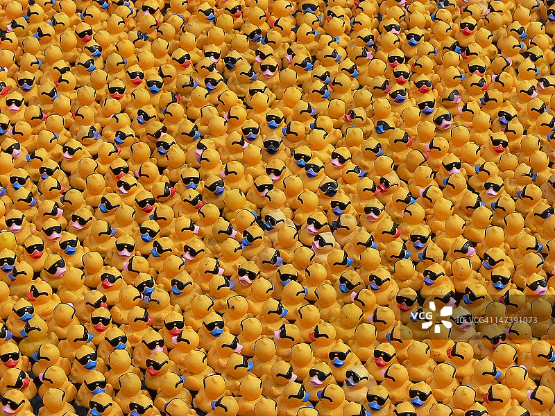 大量鸭子图片素材