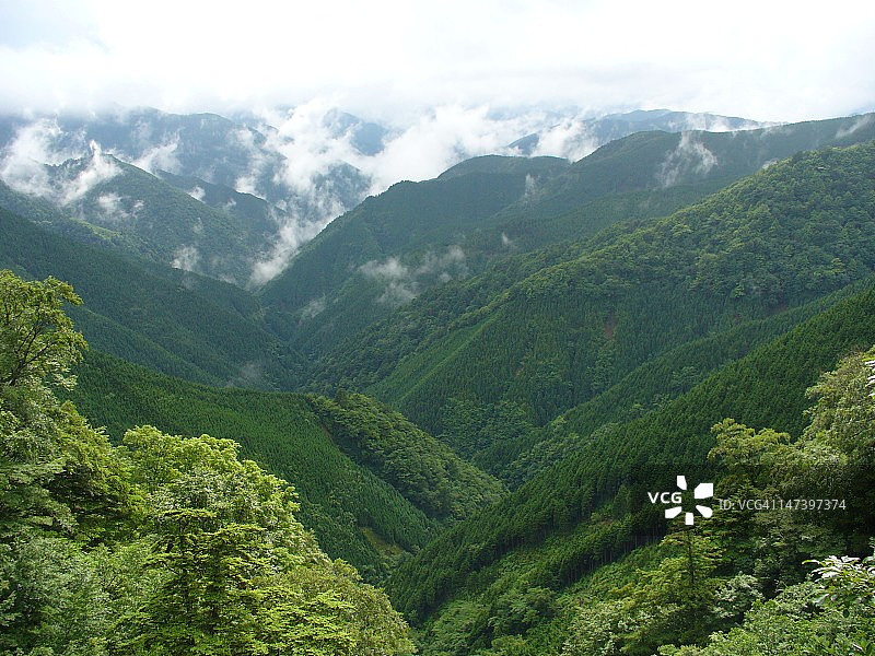 绿色的山谷图片素材