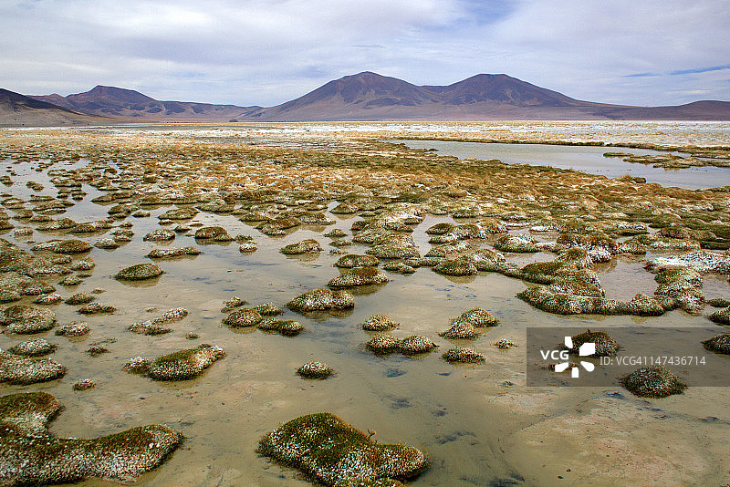 埃尔湿地图片素材
