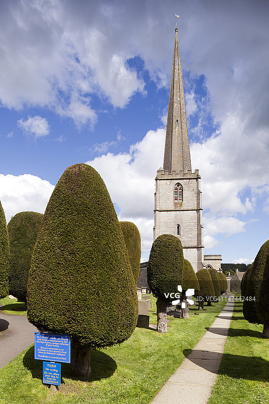 佩恩斯威克99棵紫杉树图片素材