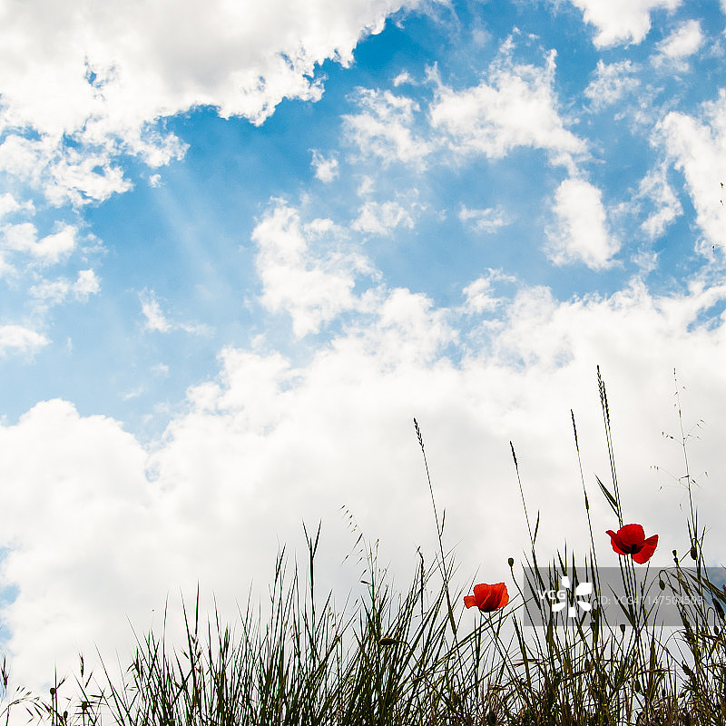 色彩与云彩图片素材