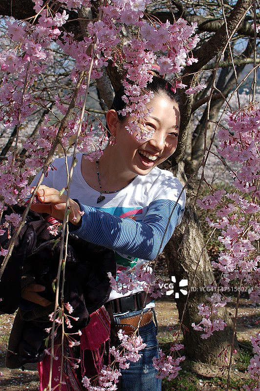 在樱花树下的女人图片素材