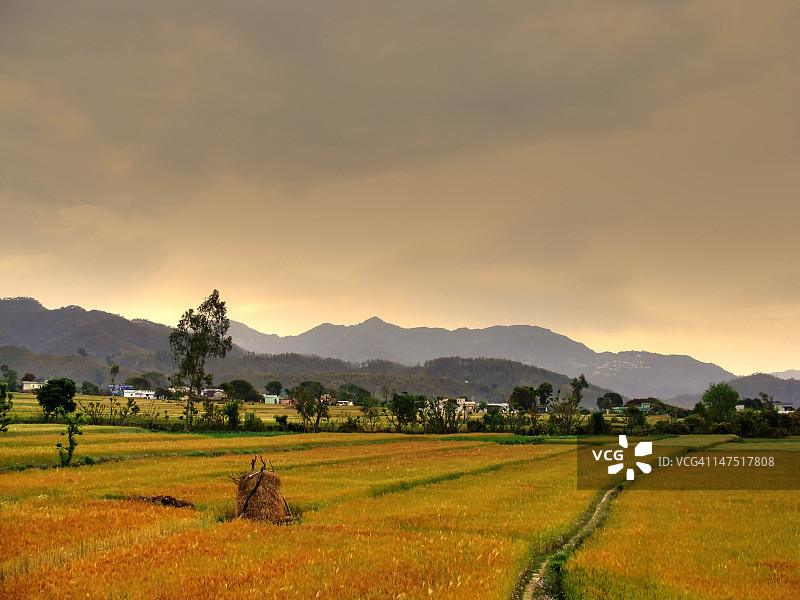 拉尼波卡里图片素材