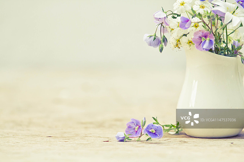 装满六月花朵的小罐子图片素材