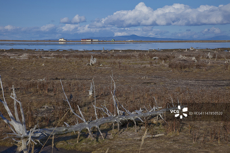从椴原看到的北方领土的国后岛图片素材