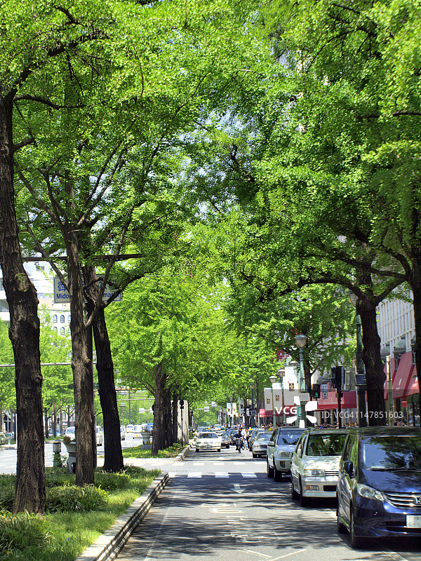 御堂筋大道图片素材