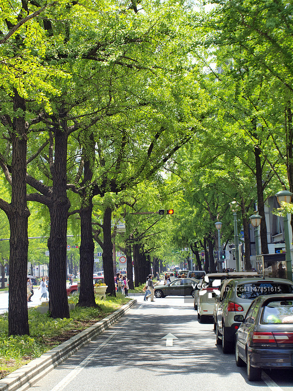 御堂筋大道图片素材