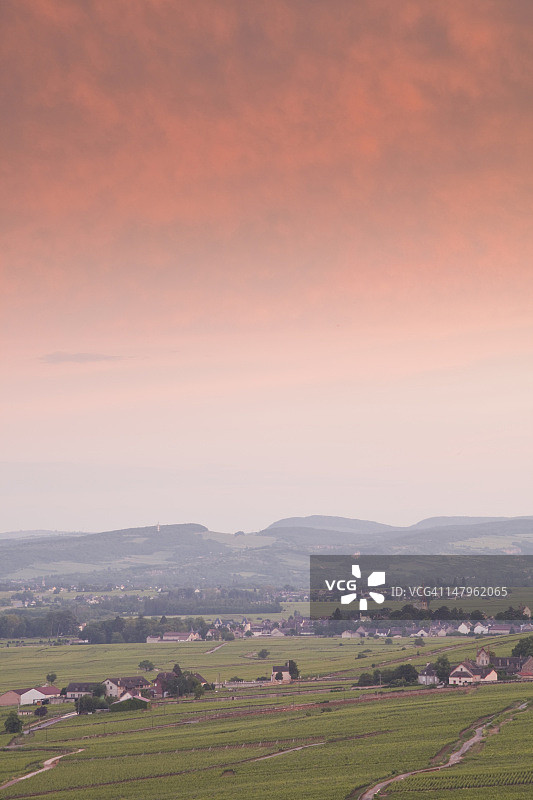 博纳附近勃艮第葡萄园风光图片素材