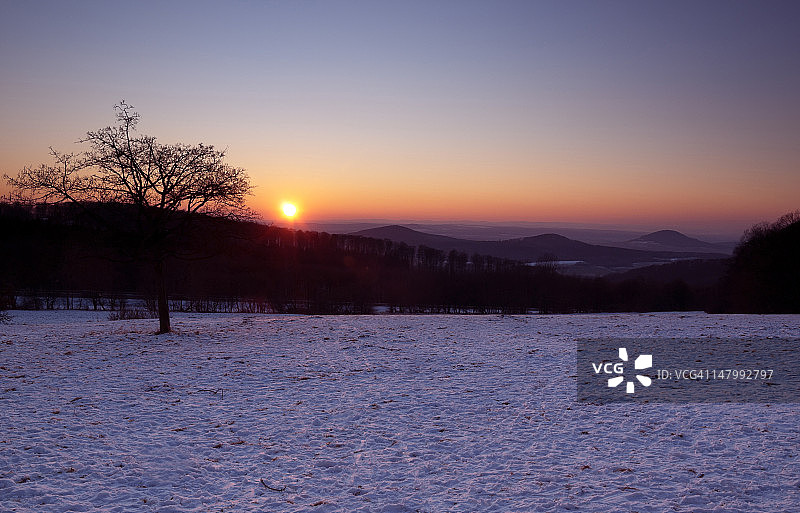 日落时分的孤独树图片素材