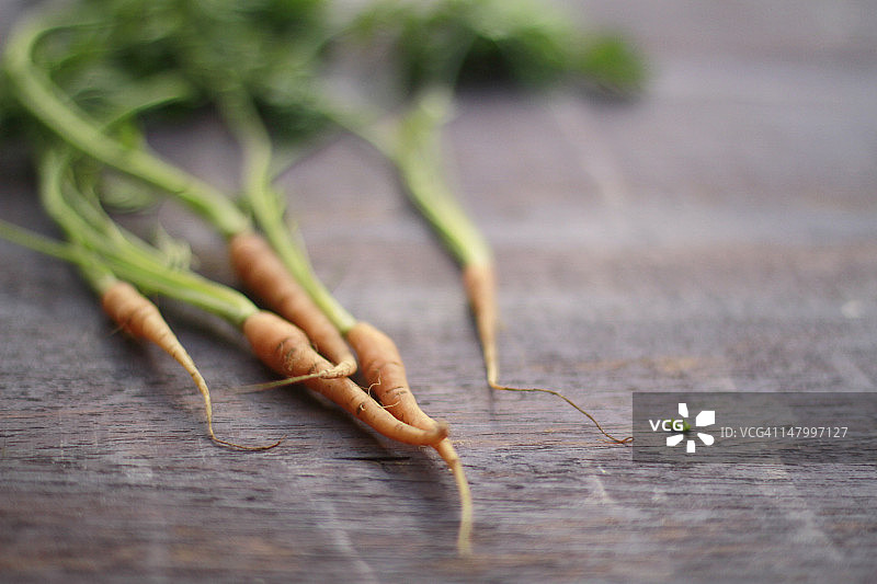 小胡萝卜图片素材