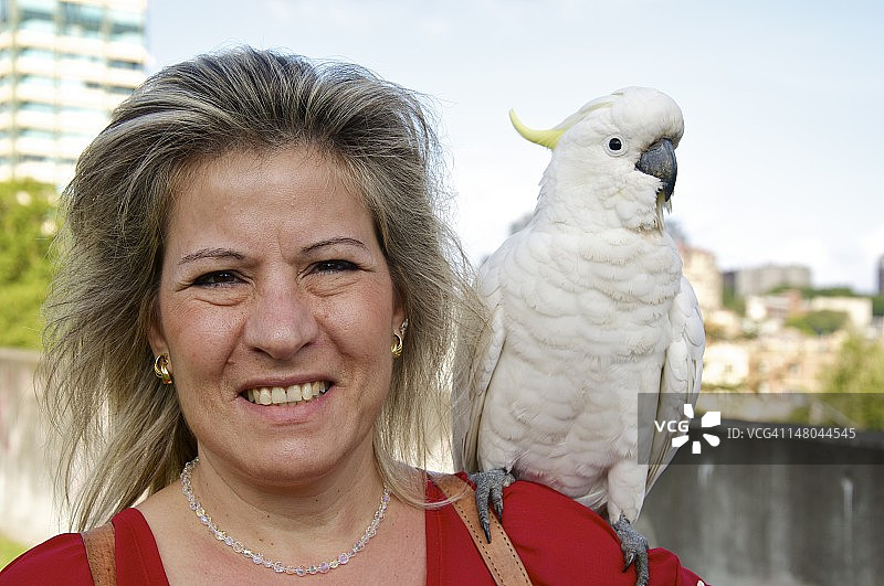 肩上的鹦鹉图片素材