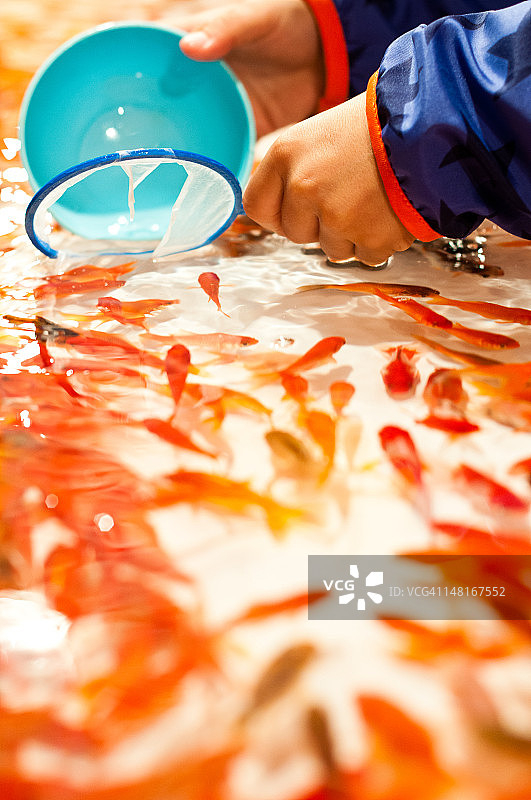 札幌节图片素材