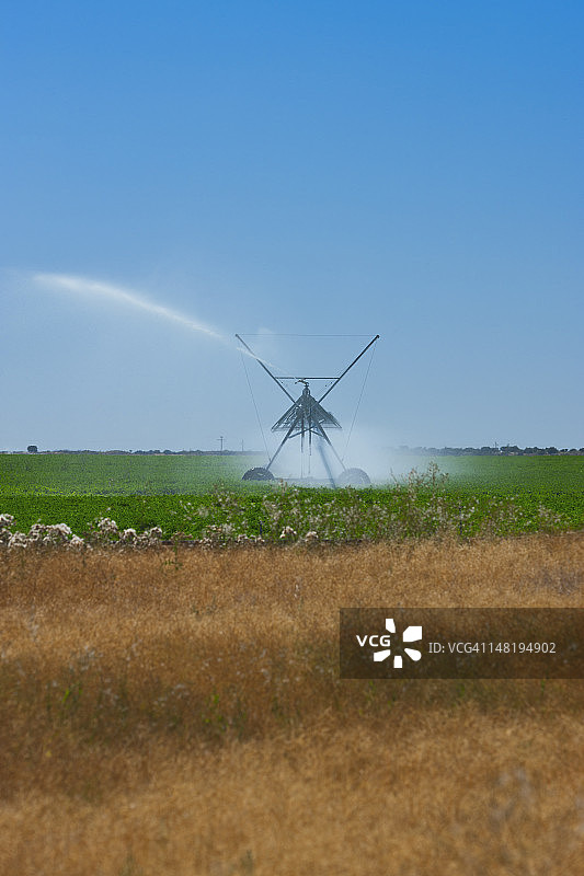 田地里为农作物浇水的喷淋系统图片素材