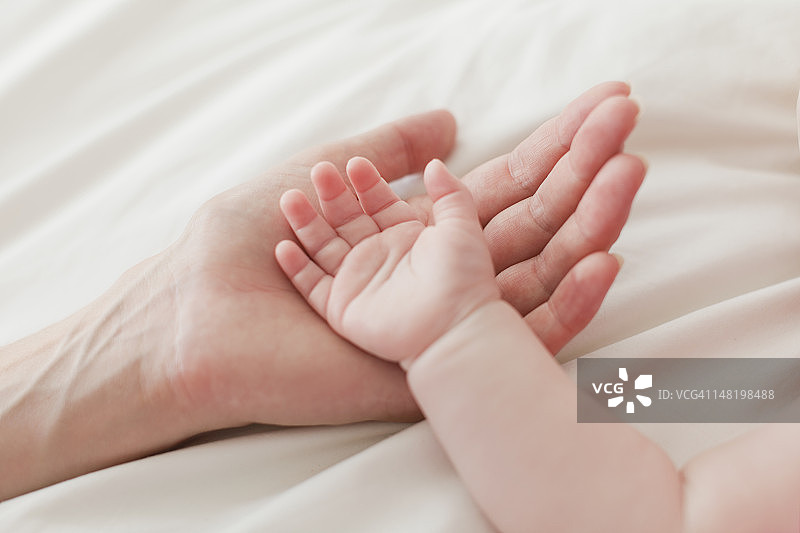 母亲和婴儿的手部特写图片素材