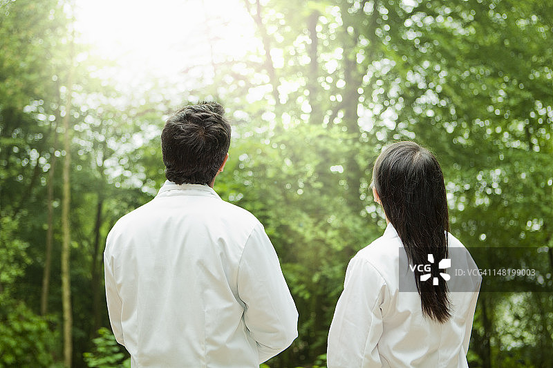 科学家们欣赏森林树木图片素材