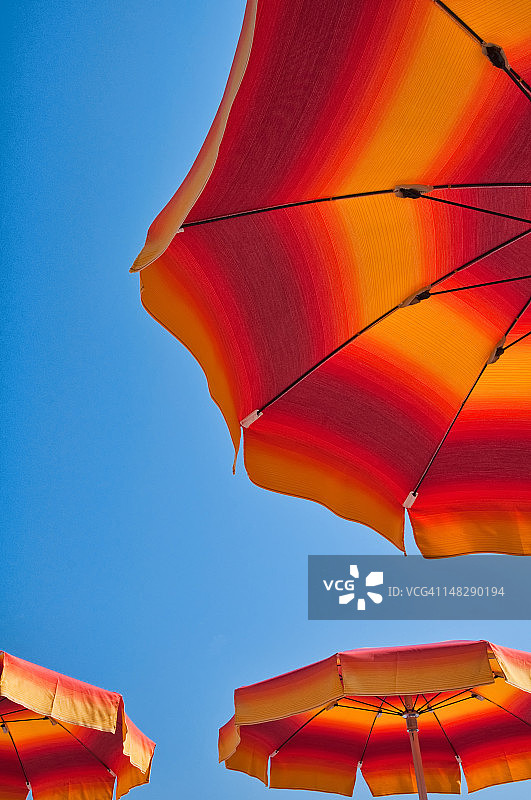 橙色雨伞图片素材