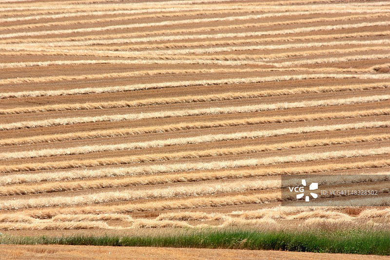 收获之后图片素材