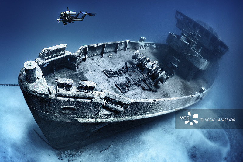 海鸥残骸 ASR-13图片素材