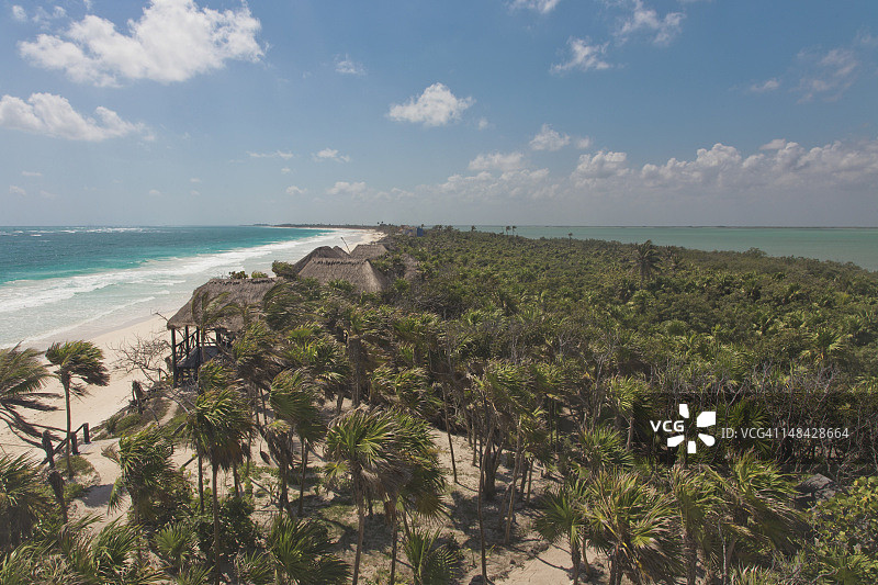 图卢姆附近锡安卡恩的丛林图片素材