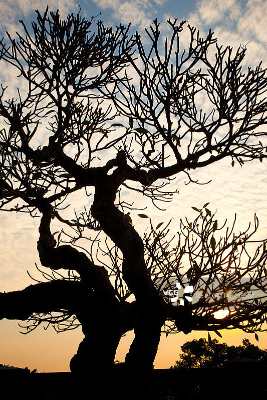 安平古堡的日落图片素材