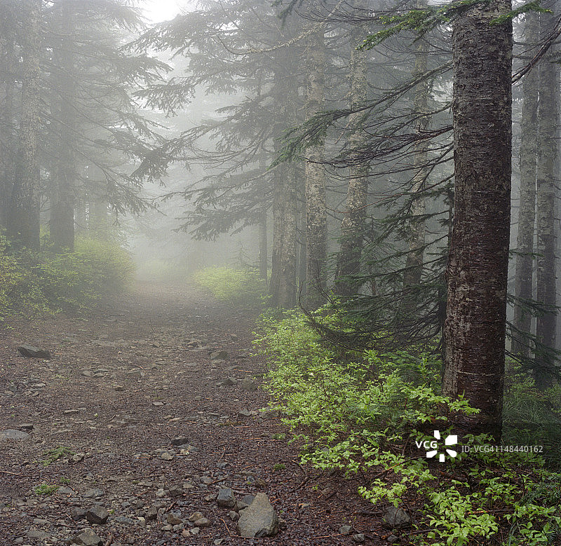 沿着古老道路的柔和光线图片素材