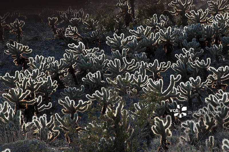 从方特角看到的恶地图片素材