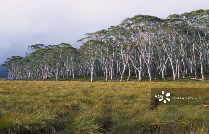 富兰克林-戈登野生河流国家公园的典型景观图片素材