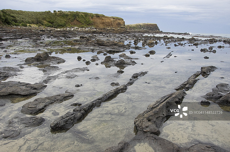 库里奥湾的石化原木图片素材