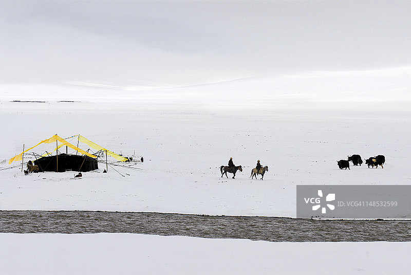 骑马的游牧民族、毡房和牦牛图片素材