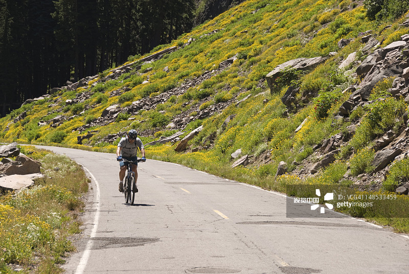 在公园道路上骑自行车图片素材