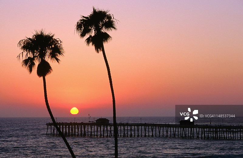 日落时分的棕榈树和圣克莱门特码头图片素材