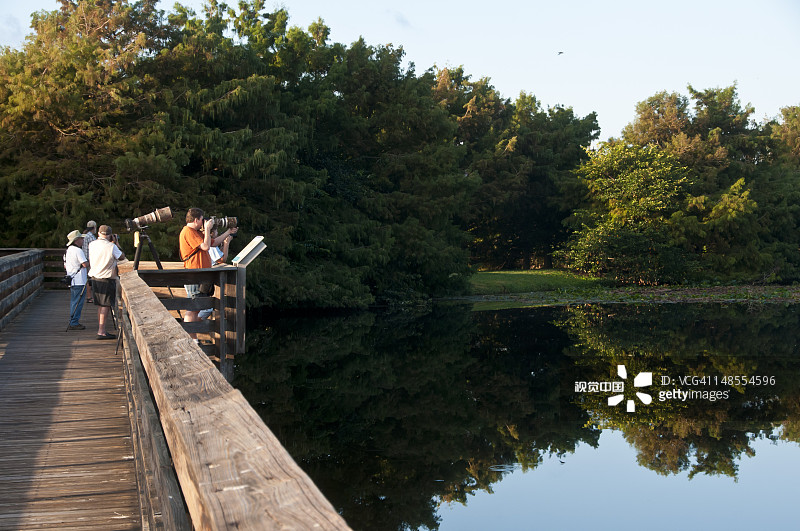 在平台上观鸟的人图片素材