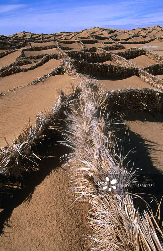 用棕榈叶稳定齐兹河谷流沙的栅栏图片素材