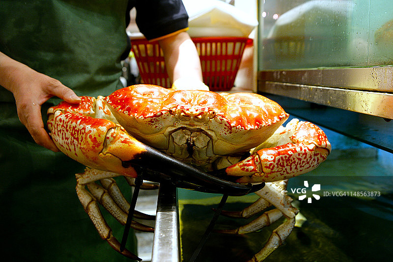 中国城中餐馆的大螃蟹图片素材