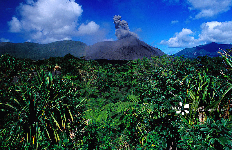 亚苏尔火山喷发，灰烬平原边缘的露兜树植物图片素材