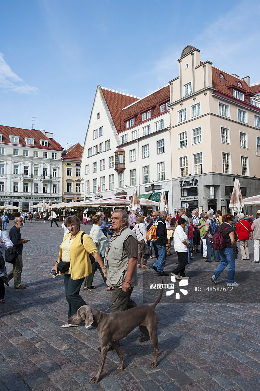 市政厅广场图片素材