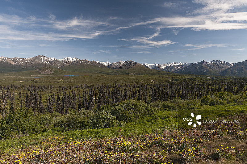 景观。图片素材