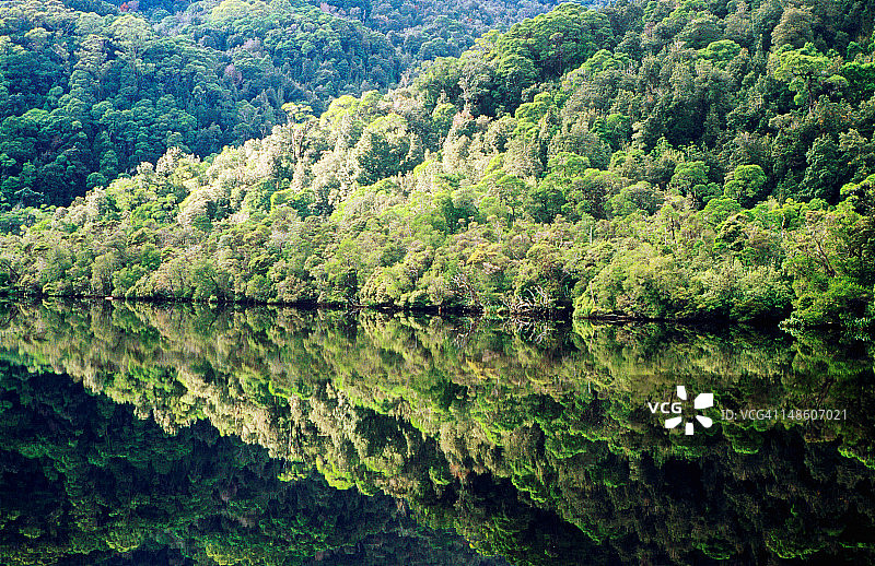 戈登河的倒影图片素材
